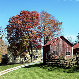 House and barn in autumn