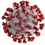 Electron microscope image of a SARS-CoV-2 virus