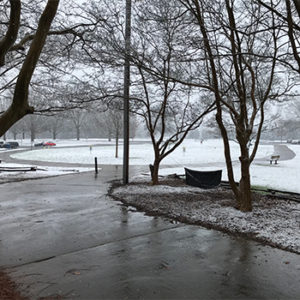 Snow at the Sandy Creek Park disc golf course